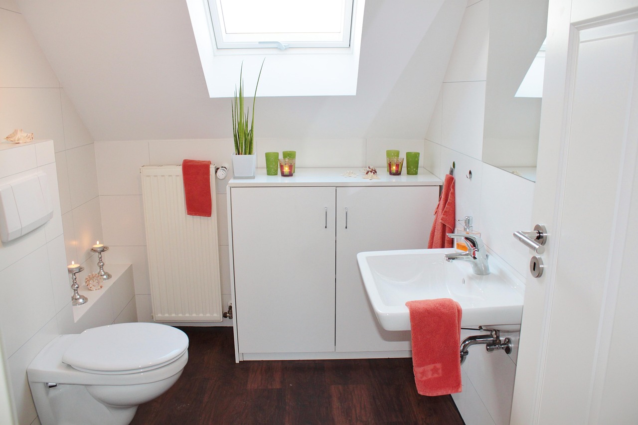 bathroom, bath, toilet, bathroom sink, plumbing, apartment, architecture, setup, set up, deco, tiles, wc, space, interior design, skylight, bright, bathroom, bathroom, bathroom, bathroom, bathroom, toilet, toilet, toilet, toilet, plumbing